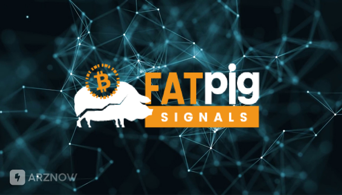 best-crypto-signal-channels-7