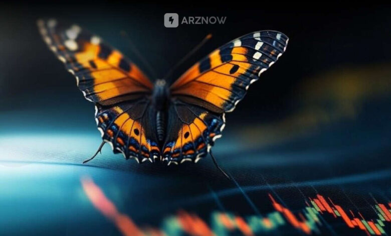 آشنایی با الگوی پروانه