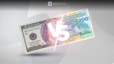 سهام دلاری و ریالی چیست